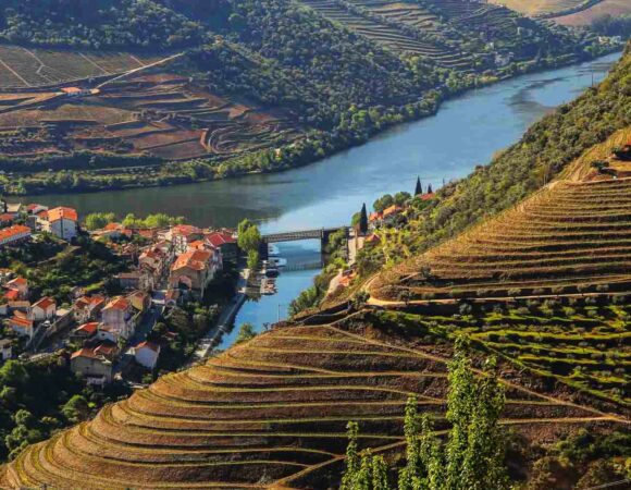 Kayaking Portugal Food & Wine